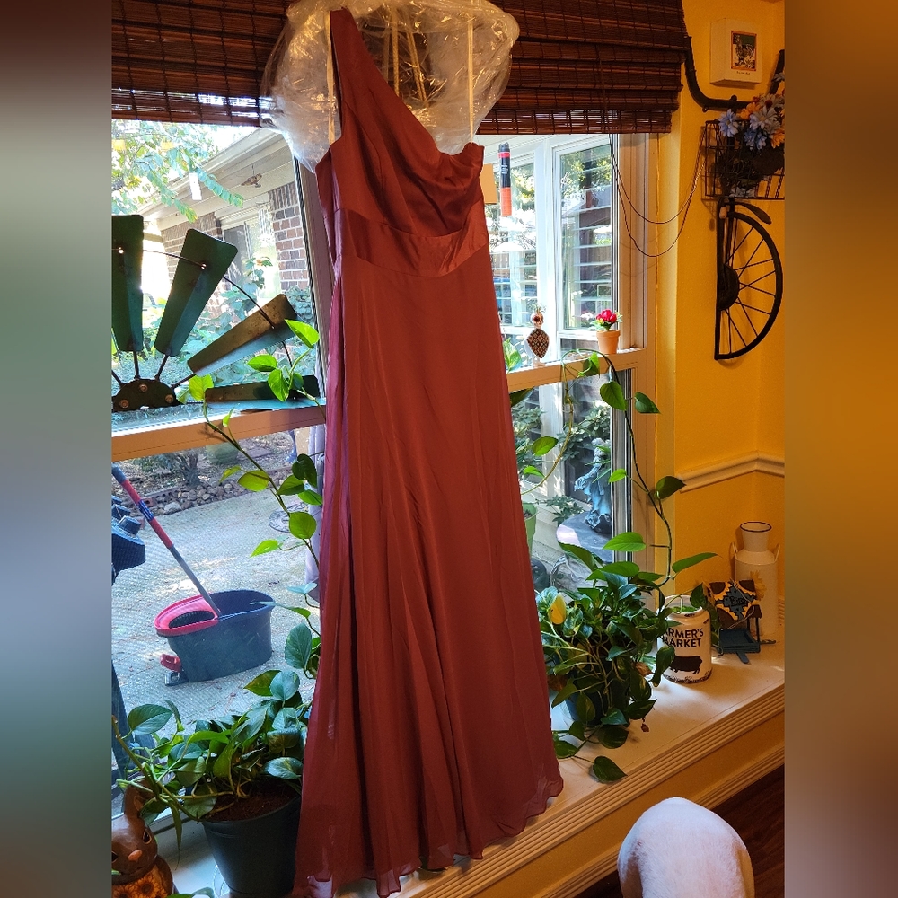 Davids Bridal bridesmaid dress